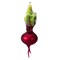 Cody Foster 6.0 Inch Heirloom Beet Christmas Tree Ornament , Vegetable Vibrant Color